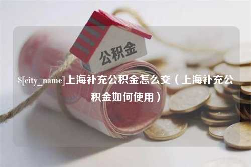 永兴上海补充公积金怎么交（上海补充公积金如何使用）